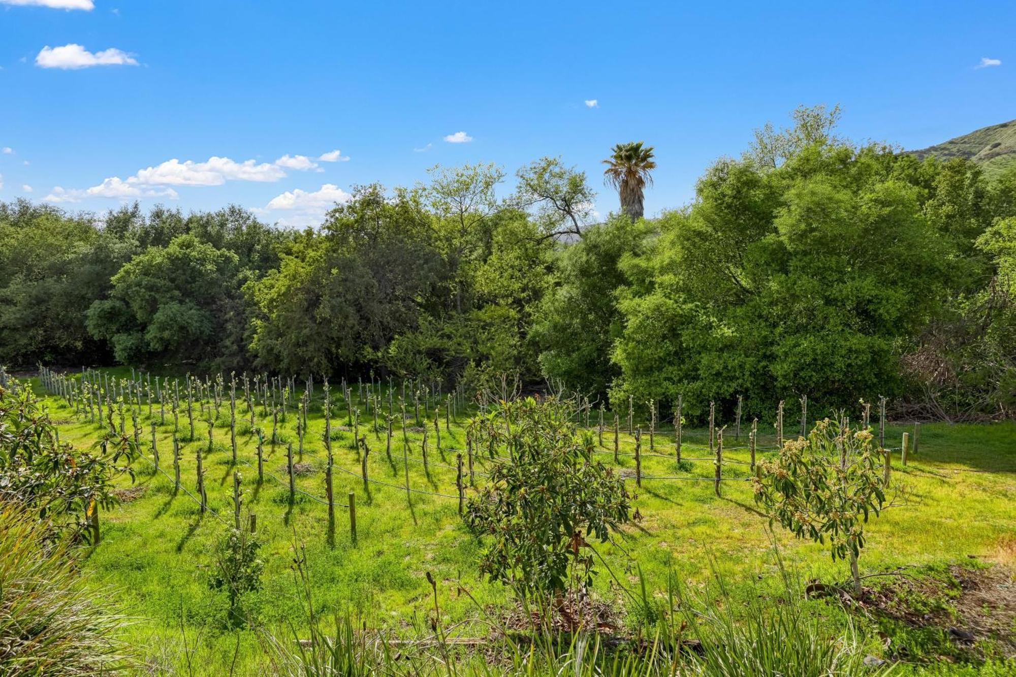 Grapevine By Avantstay Secluded 5Br Villa 4 Acres Of Vineyards Avo Groves Temecula Luaran gambar